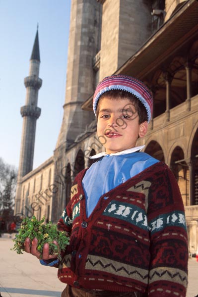Tur012